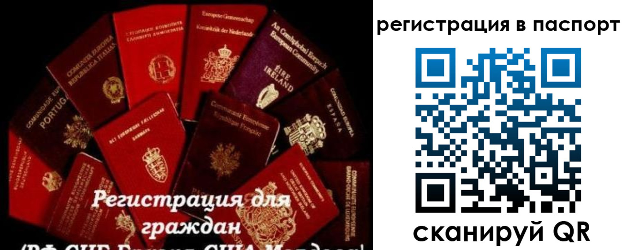 миграционный учет в Новосибирской области