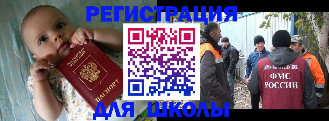 форма 3 в Новосибирской области